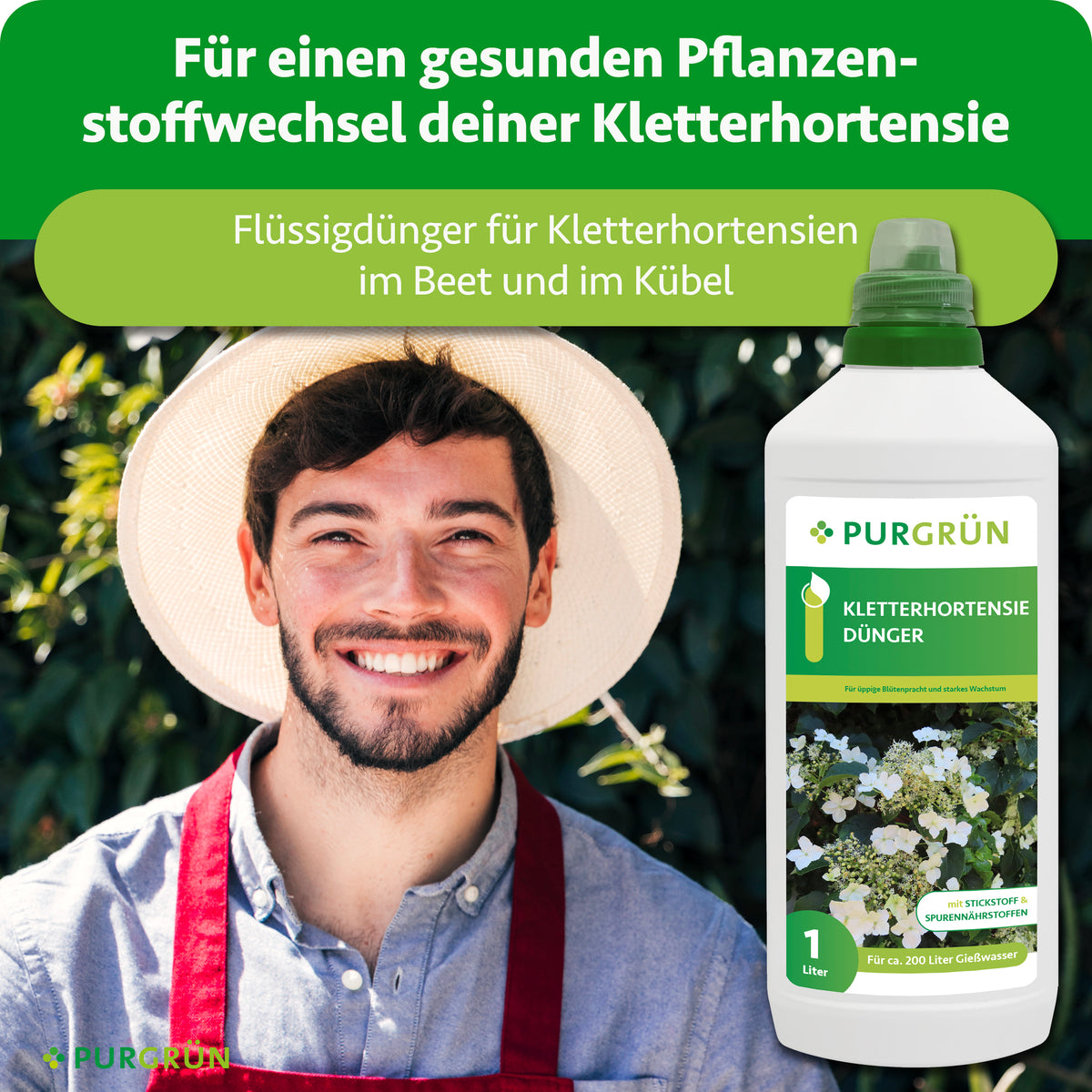 Flüssigdünger für Kletterhortensien im Beet und Kübel, dargestellt neben einem Gärtner, für einen gesunden Pflanzenstoffwechsel.