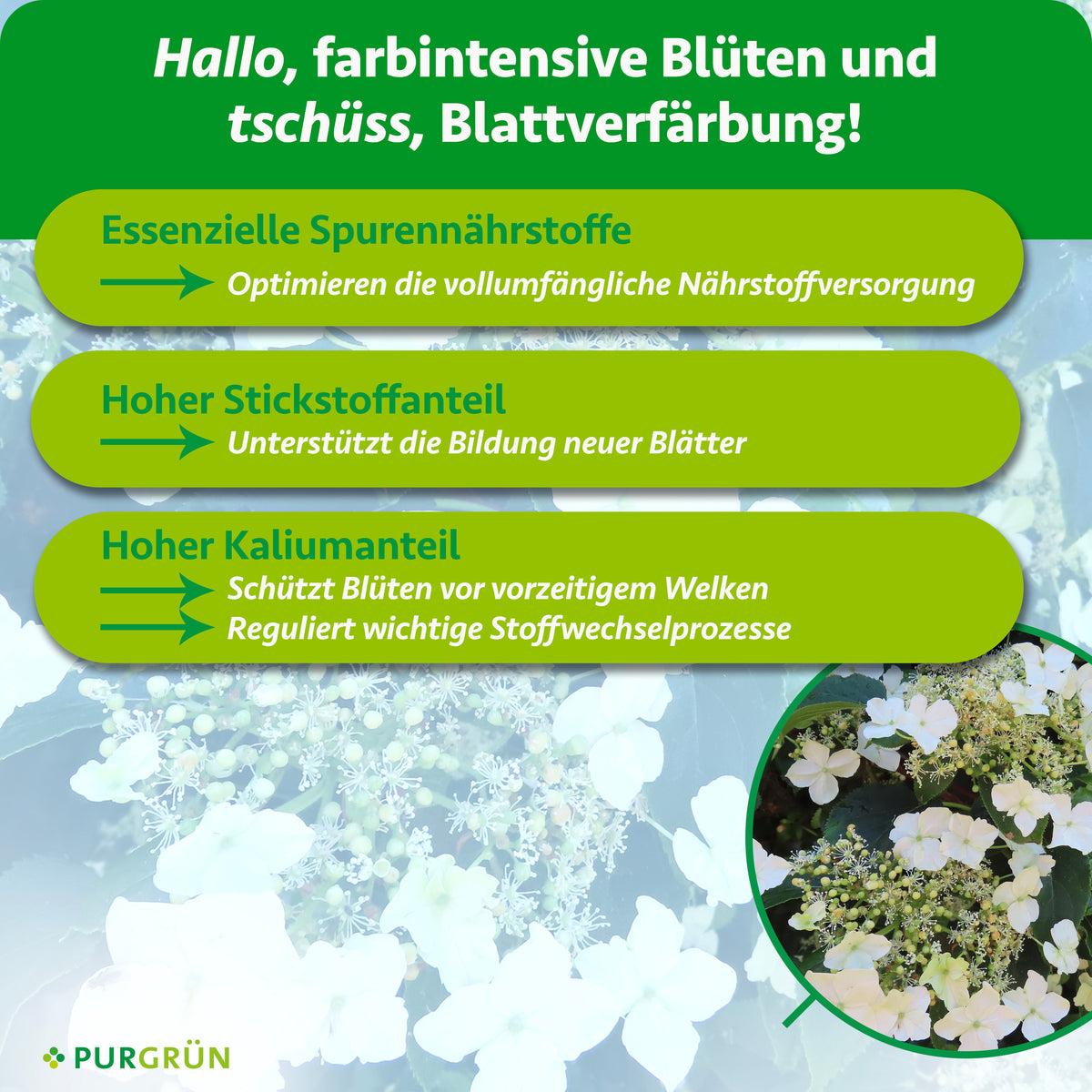 Essenzielle Spurennährstoffe optimieren die Nährstoffversorgung, Stickstoff unterstützt neue Blätter und Kalium schützt Blüten vor vorzeitigem Welken.