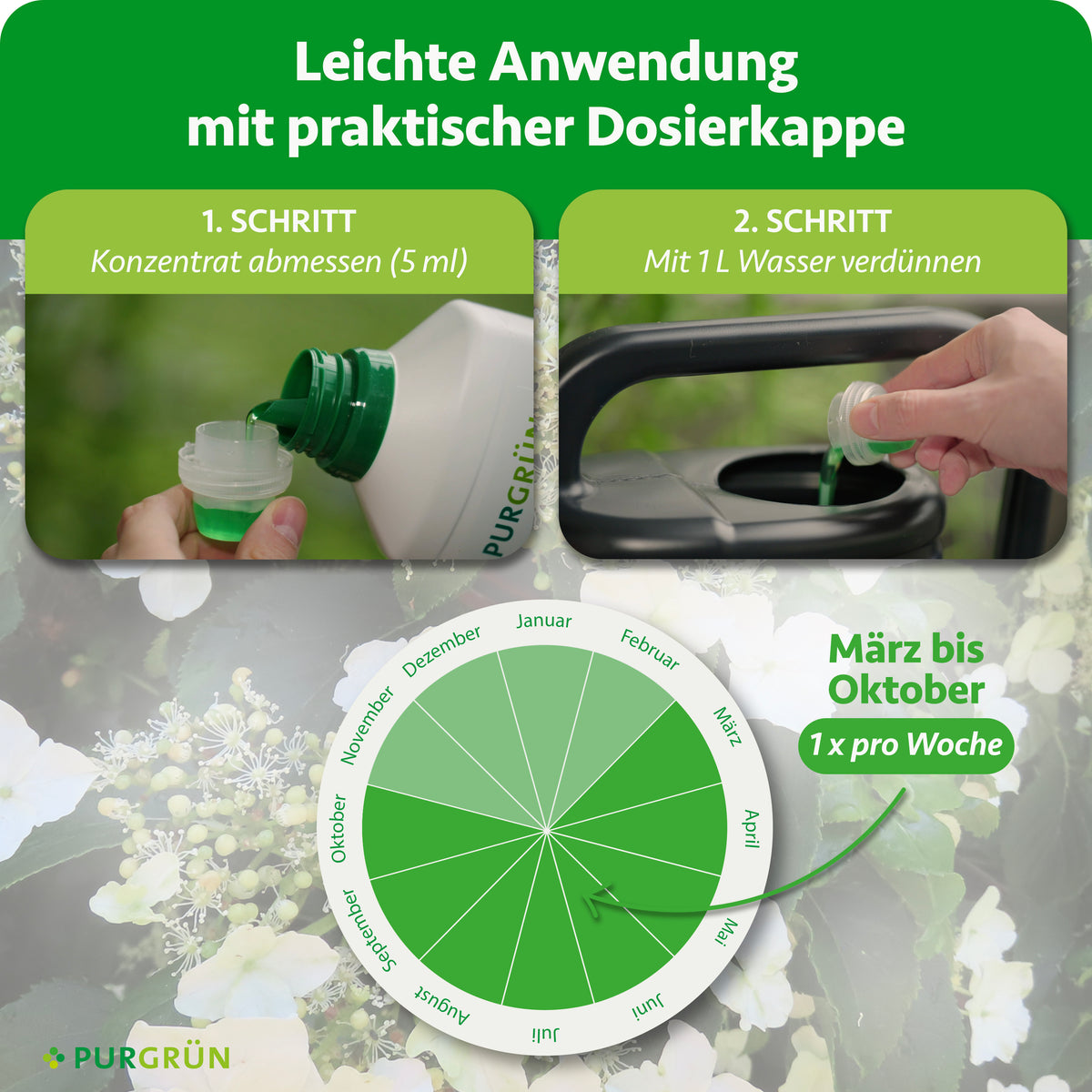 Anwendung: 5 ml Konzentrat abmessen, mit 1 L Wasser verdünnen und von März bis Oktober einmal pro Woche düngen.