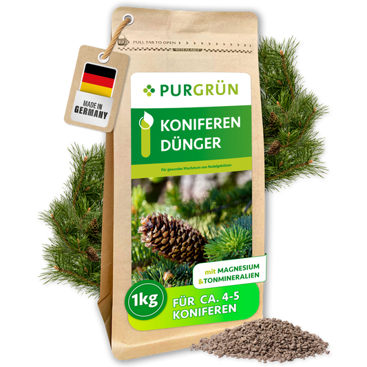 Purgrün Koniferendünger im 1-kg-Kraftpapierbeutel, umgeben von Koniferenzweigen, Zapfen und feinem Granulat.