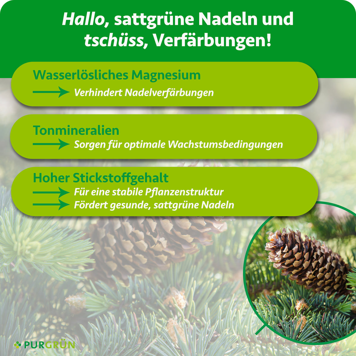 Wasserlösliches Magnesium verhindert Nadelverfärbungen, Tonmineralien sorgen für optimale Wachstumsbedingungen und hoher Stickstoffgehalt fördert stabile, sattgrüne Nadeln.