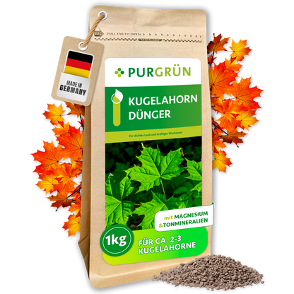 Purgrün Kugelahorn-Dünger im 1-kg-Beutel, mit Magnesium und Tonmineralien für ca. 2–3 Kugelahorne; daneben Granulat und Herbstlaub.