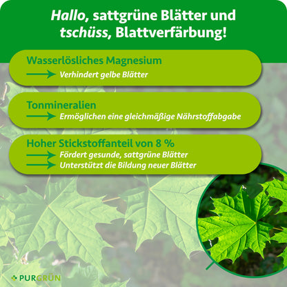 Wasserlösliches Magnesium verhindert gelbe Blätter, Tonmineralien ermöglichen eine gleichmäßige Nährstoffabgabe. Ein Stickstoffanteil von 8 % fördert gesunde, sattgrüne Blätter und die Bildung neuer Blätter.