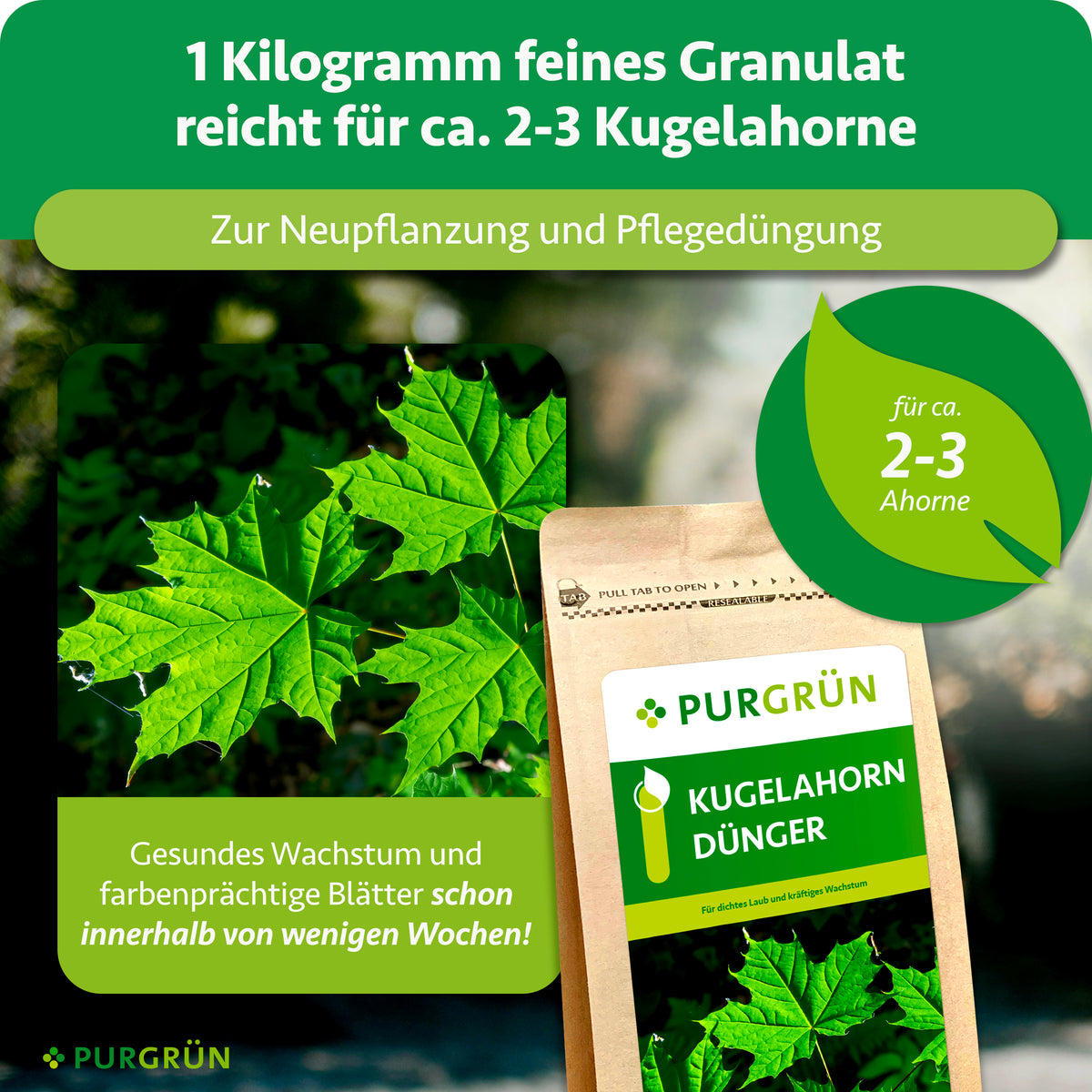 1 kg feines Granulat reicht für ca. 2–3 Kugelahorne zur Neupflanzung und Pflegedüngung; beworben werden gesundes Wachstum und farbenprächtige Blätter innerhalb weniger Wochen.