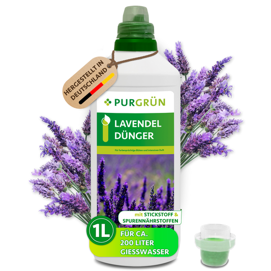 Purgrün Lavendel-Dünger in der 1-Liter-Flasche mit Dosierkappe, umgeben von Lavendelblüten und mit Anhänger „Hergestellt in Deutschland“.