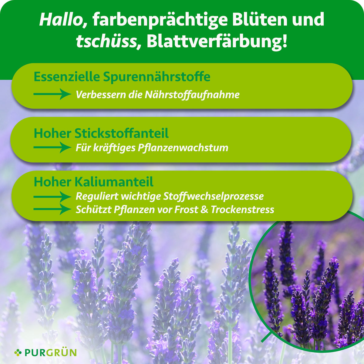 Essenzielle Spurennährstoffe verbessern die Nährstoffaufnahme, ein hoher Stickstoffanteil fördert kräftiges Wachstum und ein hoher Kaliumanteil reguliert Stoffwechselprozesse und schützt vor Frost- und Trockenstress.