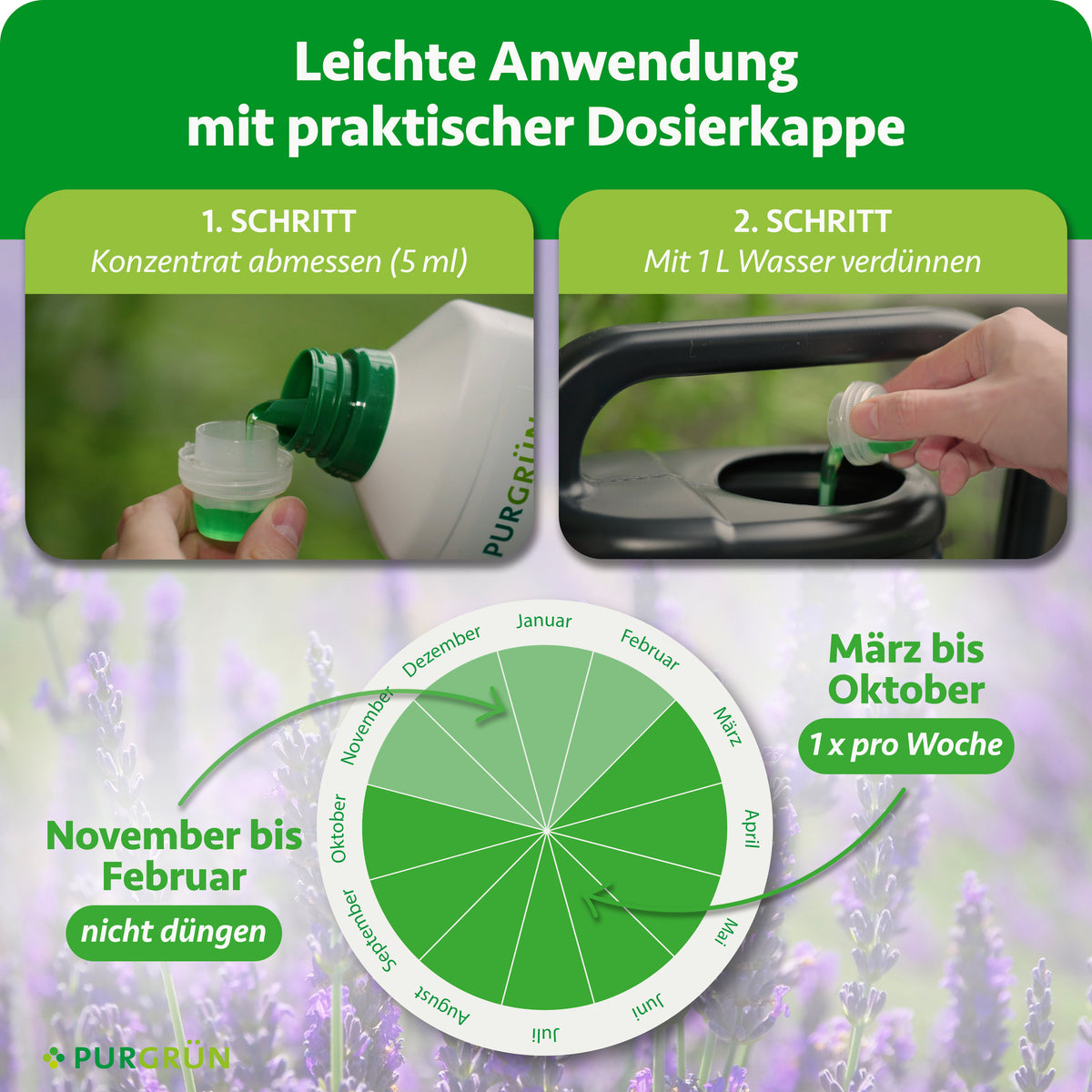 Anwendung: 5 ml Konzentrat abmessen und mit 1 L Wasser verdünnen; von März bis Oktober 1-mal pro Woche düngen, von November bis Februar nicht düngen.