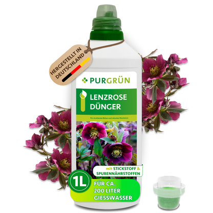 Purgrün Lenzrose-Dünger in der 1-Liter-Flasche mit Dosierkappe, umrahmt von dunkelroten Lenzrosen; ausreichend für ca. 200 Liter Gießwasser.