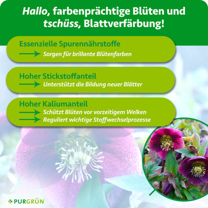 Essenzielle Spurennährstoffe unterstützen brillante Blütenfarben, Stickstoff die Bildung neuer Blätter und Kalium den Stoffwechsel sowie den Schutz vor vorzeitigem Welken.