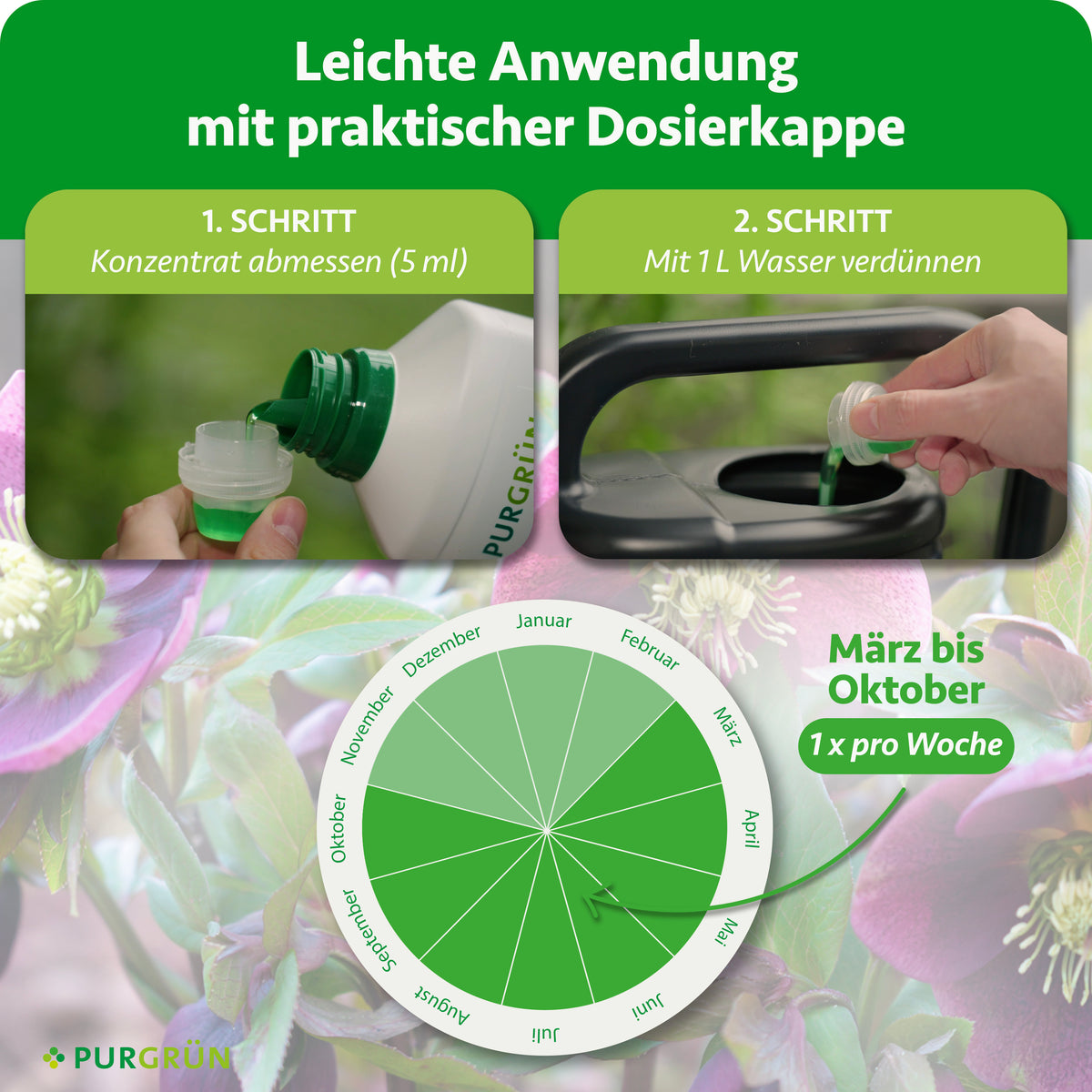 Anwendung: 5 ml Konzentrat abmessen, mit 1 L Wasser verdünnen und von März bis Oktober 1× pro Woche düngen.