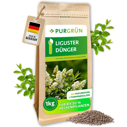 Purgrün Liguster-Dünger, 1 kg, im wiederverschließbaren Kraftpapierbeutel neben Granulat und Ligusterzweigen.