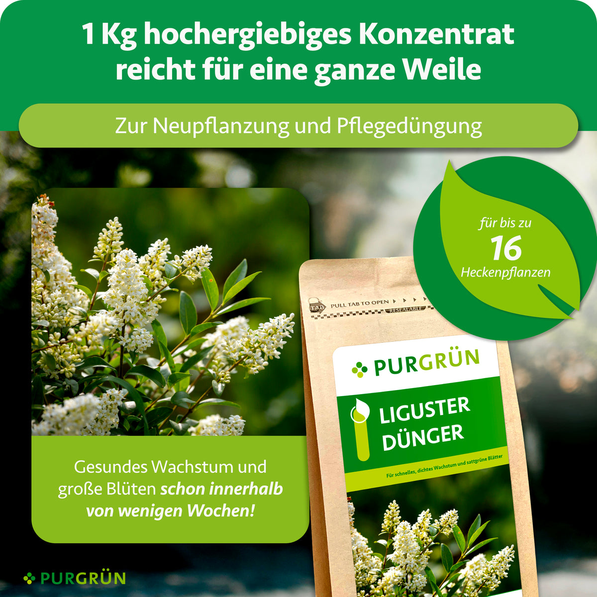 1 kg hochergiebiges Konzentrat zur Neupflanzung und Pflegedüngung reicht für bis zu 16 Heckenpflanzen. Gesundes Wachstum und große Blüten schon innerhalb weniger Wochen.