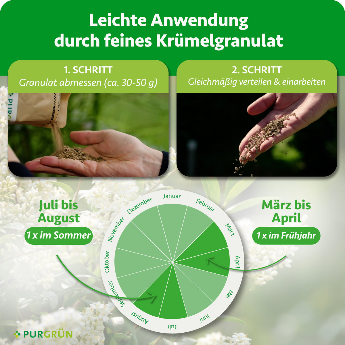 Anwendung: 30–50 g Granulat abmessen, gleichmäßig verteilen und einarbeiten. Je einmal im Frühjahr von März bis April und im Sommer von Juli bis August düngen.