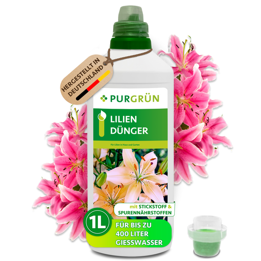 Purgrün Lilien-Dünger in der 1-Liter-Flasche mit Dosierkappe und pinken Lilien; reicht für bis zu 400 Liter Gießwasser.