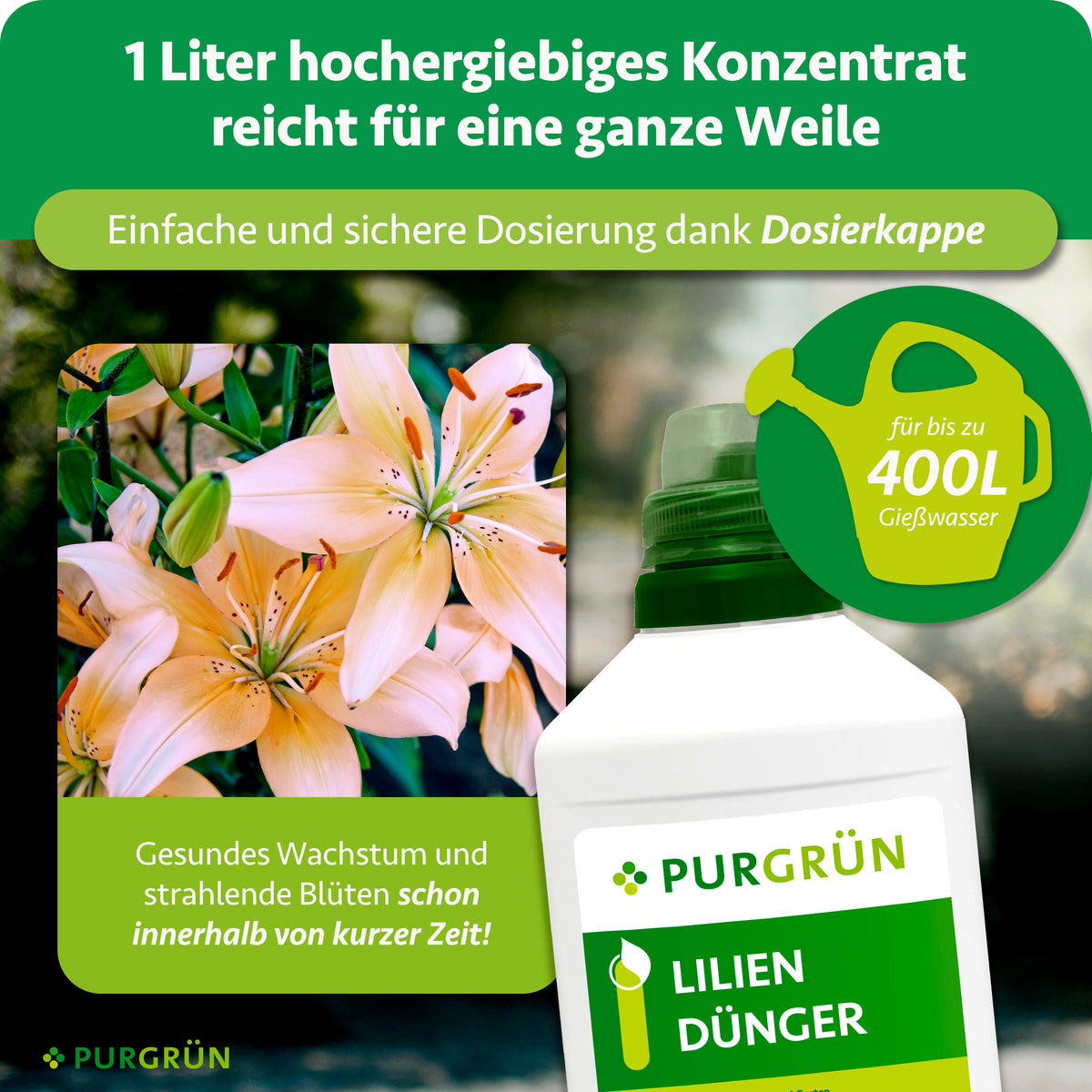1 Liter Konzentrat mit Dosierkappe reicht für bis zu 400 Liter Gießwasser; daneben blühende Lilien und die Düngerflasche.