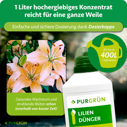 1 Liter Konzentrat mit Dosierkappe reicht für bis zu 400 Liter Gießwasser; daneben blühende Lilien und die Düngerflasche.
