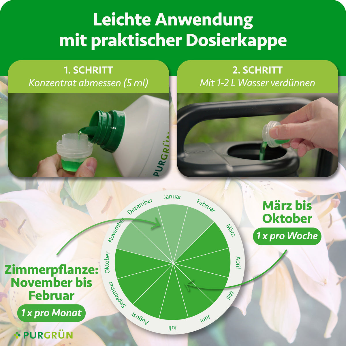 5 ml Konzentrat abmessen und mit 1–2 Litern Wasser verdünnen. März bis Oktober einmal pro Woche, bei Zimmerpflanzen November bis Februar einmal pro Monat anwenden.