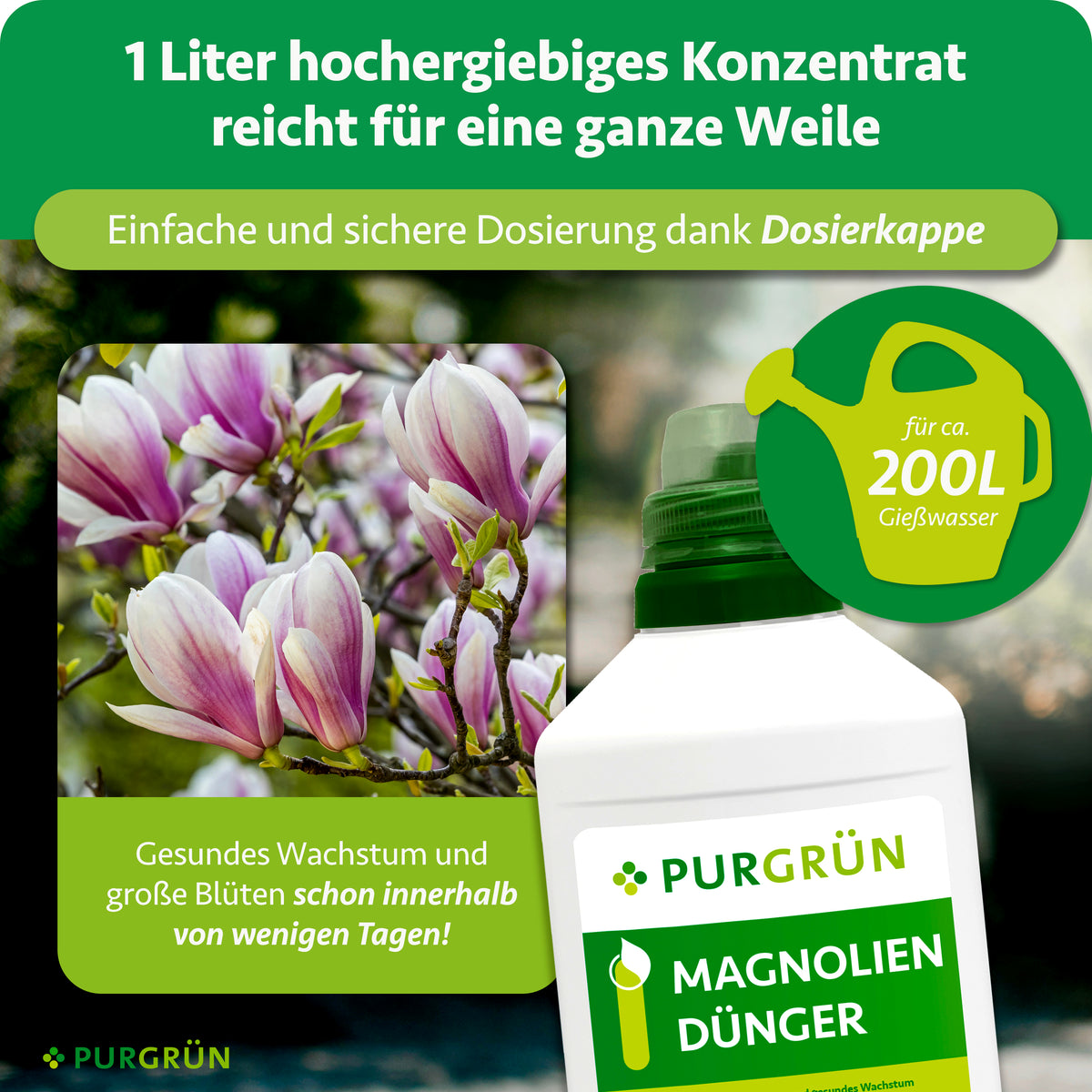 1 Liter Magnoliendünger-Konzentrat reicht für ca. 200 Liter Gießwasser; die Dosierkappe ermöglicht eine einfache und sichere Dosierung.