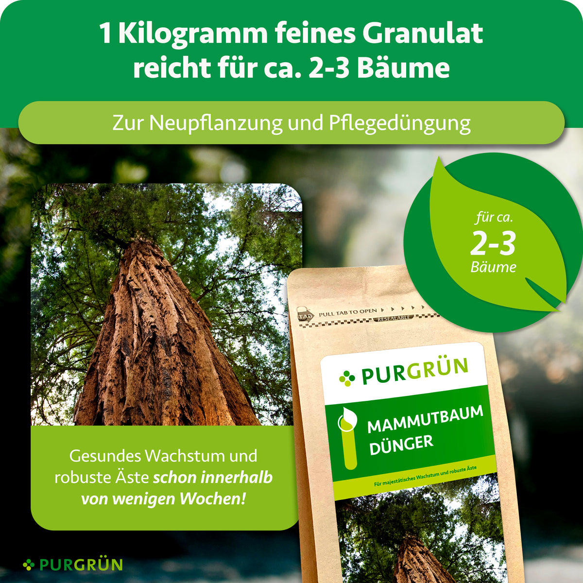 1 Kilogramm feines Granulat reicht für ca. 2–3 Bäume und eignet sich zur Neupflanzung und Pflegedüngung; gesundes Wachstum und robuste Äste schon innerhalb weniger Wochen.