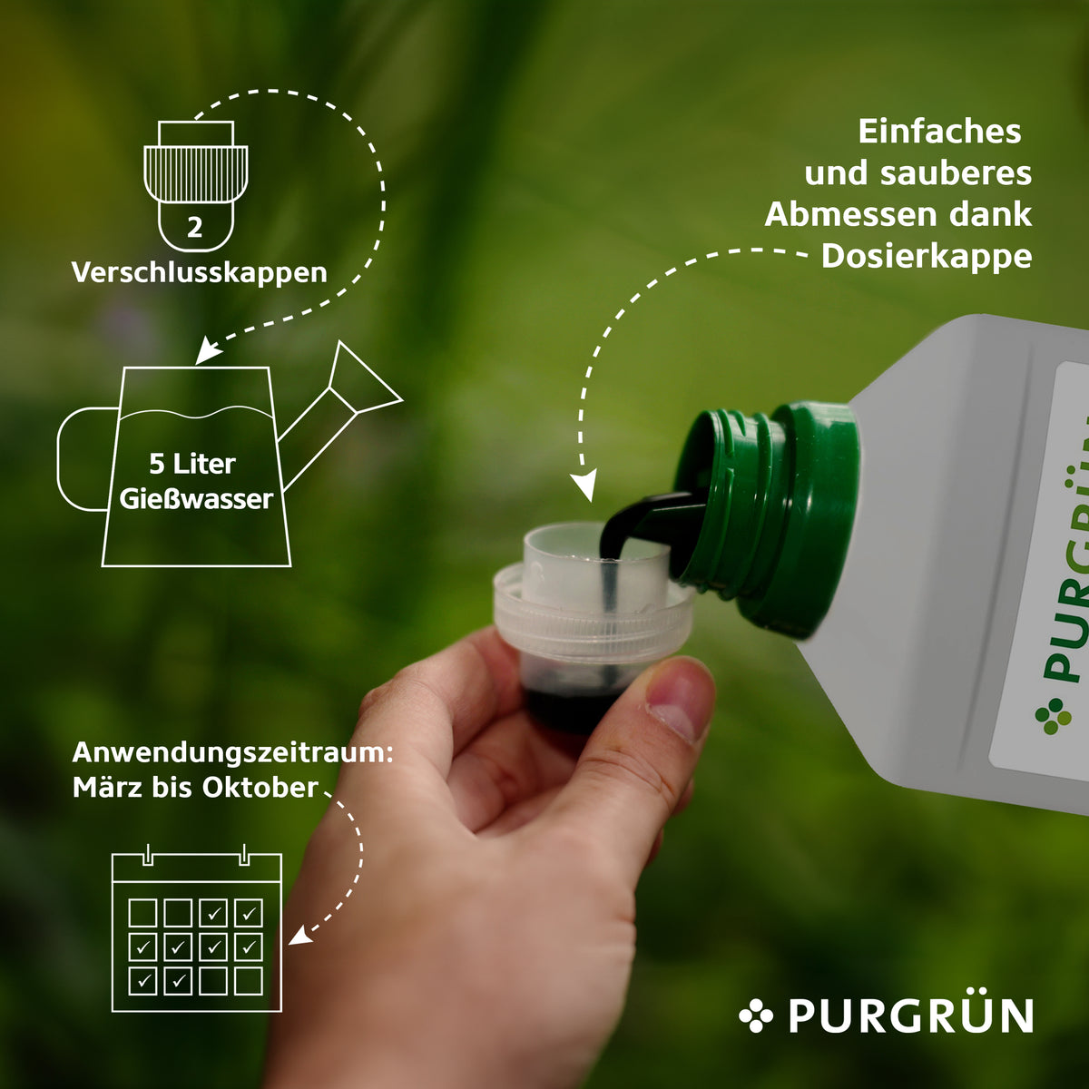Eine Hand gießt Purgrün Bio-Petersilien-Dünger 1 Liter mit Vinasse und Algenextrakt aus der Flasche in den Dosierdeckel. Icons zeigen: 2 Deckel pro 5L, Anwendung März–Oktober, einfache Dosierung. Purgrün Logo sichtbar.