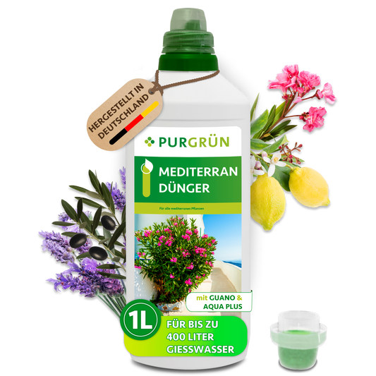 Purgrün Mediterran-Dünger im 1-Liter-Gebinde mit Dosierkappe, Guano und Aqua Plus, ausreichend für bis zu 400 Liter Gießwasser.