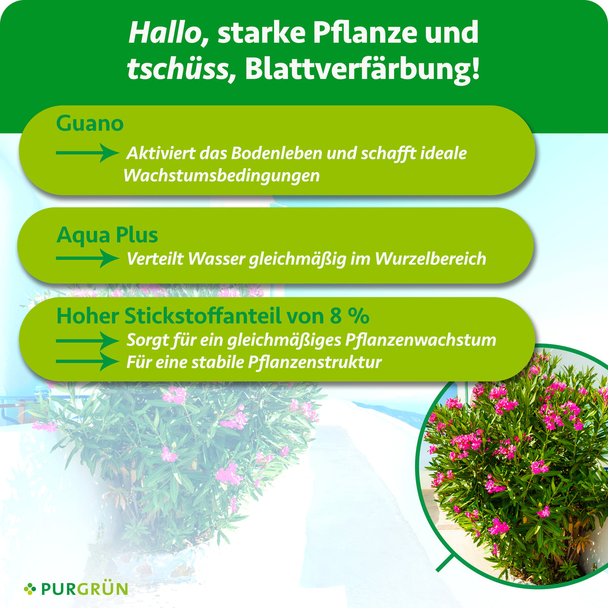 Guano aktiviert das Bodenleben, Aqua Plus verteilt Wasser gleichmäßig im Wurzelbereich; 8 % Stickstoff sorgen für gleichmäßiges Wachstum und eine stabile Pflanzenstruktur.