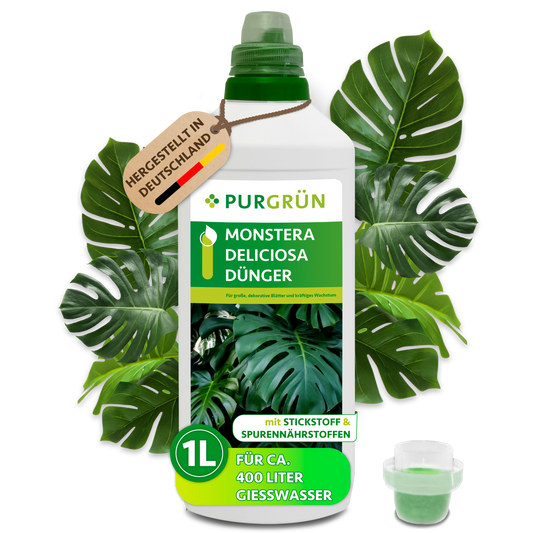 Purgrün Monstera-Deliciosa-Dünger im 1-Liter-Gebinde mit Dosierkappe, ausreichend für ca. 400 Liter Gießwasser.