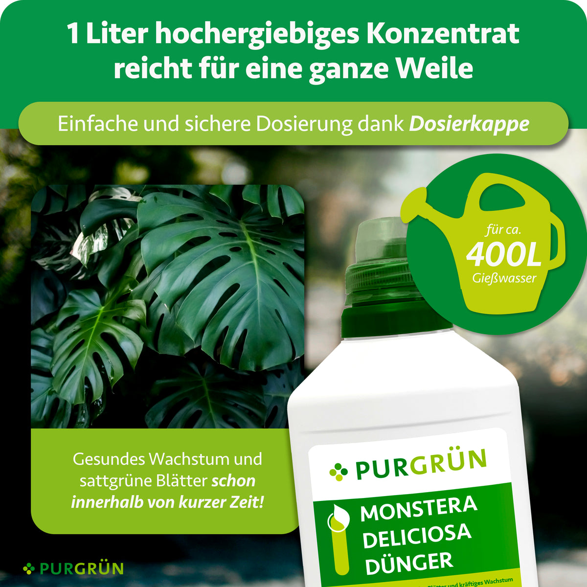 Ein Liter Monstera-Deliciosa-Dünger als ergiebiges Konzentrat für ca. 400 Liter Gießwasser, einfach dosierbar mit der Dosierkappe.