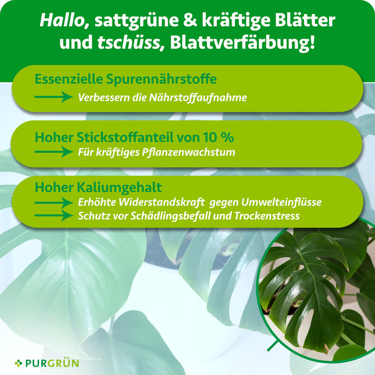 Essenzielle Spurennährstoffe verbessern die Nährstoffaufnahme, 10 % Stickstoff fördern kräftiges Pflanzenwachstum. Ein hoher Kaliumgehalt erhöht die Widerstandskraft gegen Umwelteinflüsse und schützt vor Schädlingsbefall und Trockenstress.