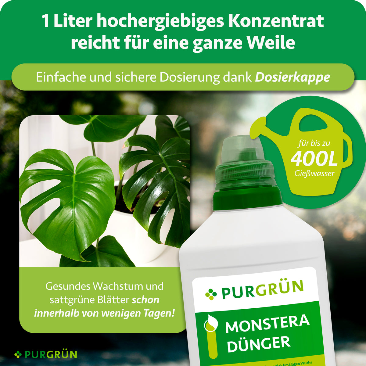 Eine Flasche Purgrün Monstera-Dünger 1 Liter wird vor üppigen Monstera-Blättern ausgestellt und betont sein ertragreiches Konzentrat und seine essentiellen Mikronährstoffe für bis zu 400 l Bewässerung zur Unterstützung eines gesunden, kräftigen Wachstums.