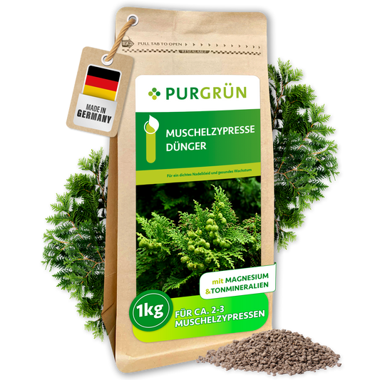 Purgrün Muschelzypresse-Dünger im 1-kg-Beutel mit feinem Granulat und grünen Muschelzypressenzweigen; ausreichend für ca. 2–3 Muschelzypressen.