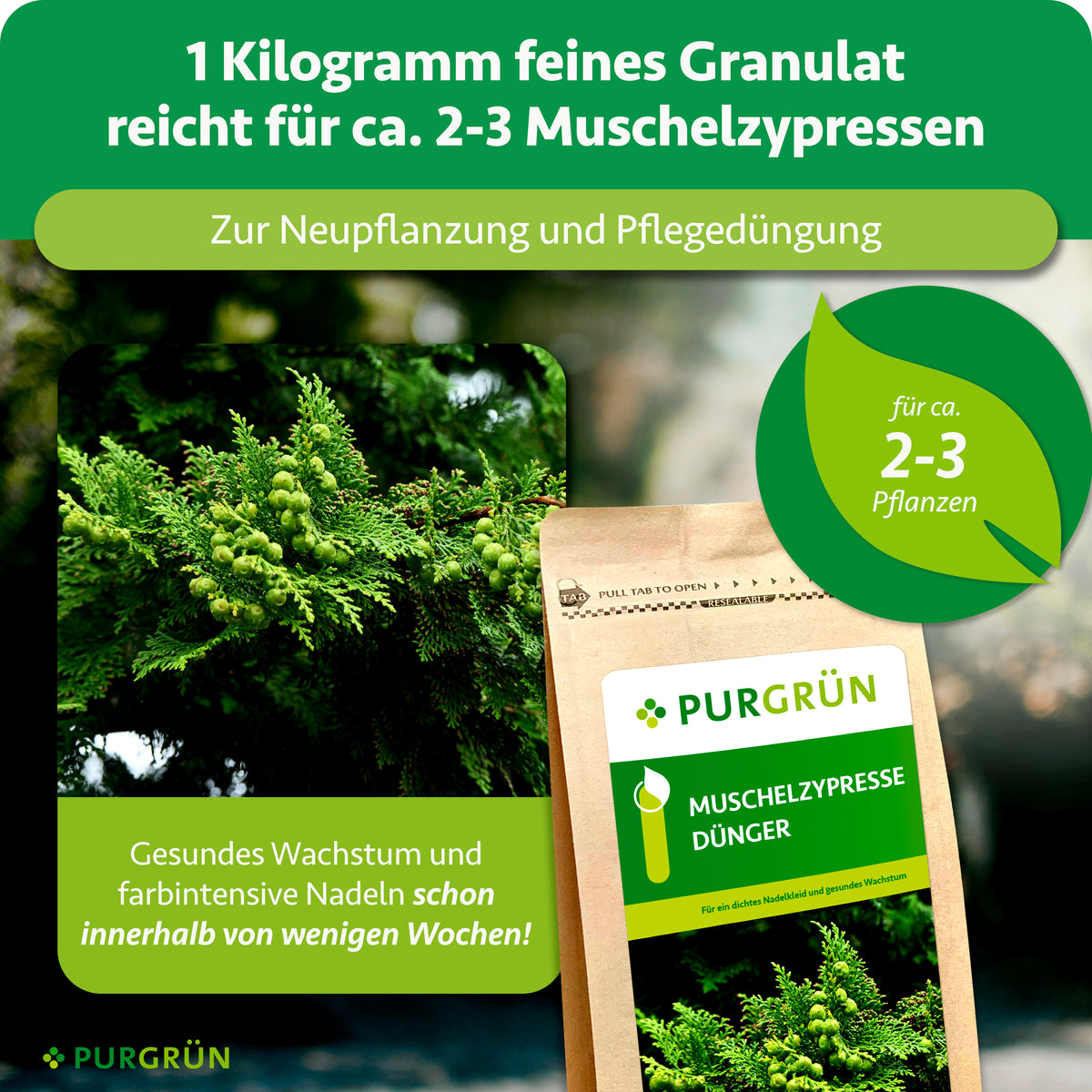 1 kg feines Granulat reicht für ca. 2–3 Muschelzypressen und eignet sich zur Neupflanzung und Pflegedüngung.