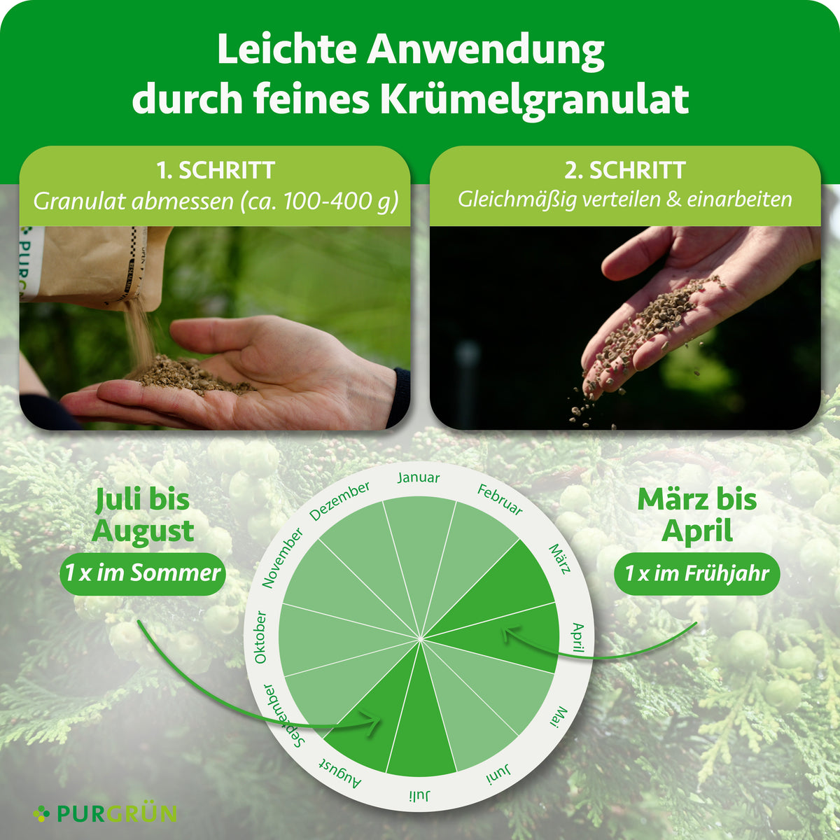 100–400 g Granulat abmessen, gleichmäßig verteilen und einarbeiten. Je einmal im März bis April und im Juli bis August düngen.