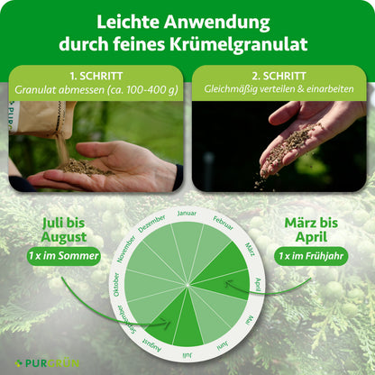 100–400 g Granulat abmessen, gleichmäßig verteilen und einarbeiten. Je einmal im März bis April und im Juli bis August düngen.