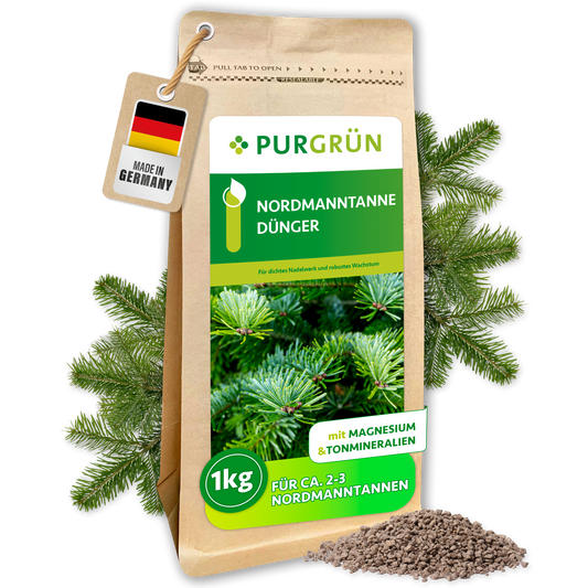 Purgrün Nordmanntanne-Dünger im 1-kg-Beutel mit Magnesium und Tonmineralien, umgeben von Tannenzweigen und Granulat.