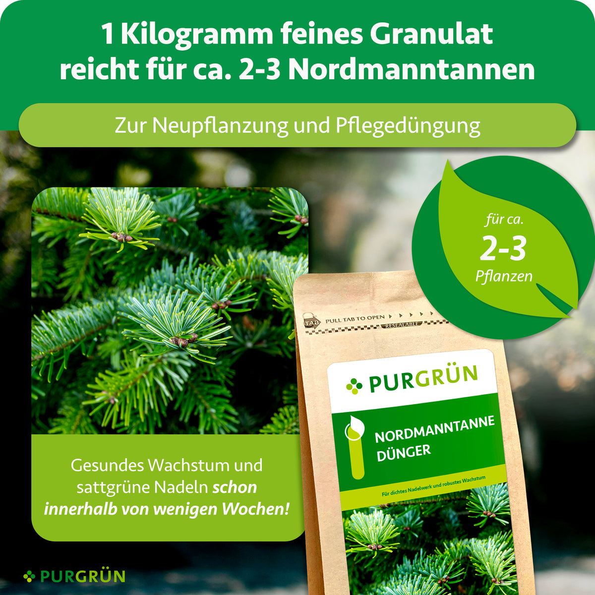 1 kg Granulat reicht für ca. 2–3 Nordmanntannen und eignet sich zur Neupflanzung und Pflegedüngung.
