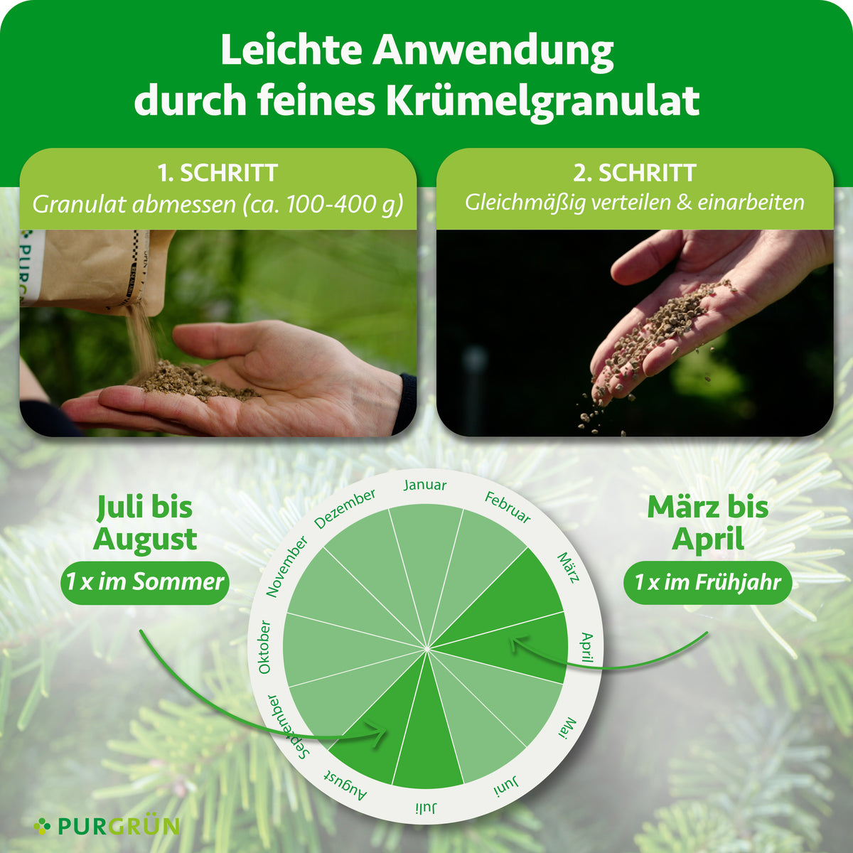 100–400 g Granulat abmessen, gleichmäßig verteilen und einarbeiten; jeweils einmal von März bis April und von Juli bis August düngen.