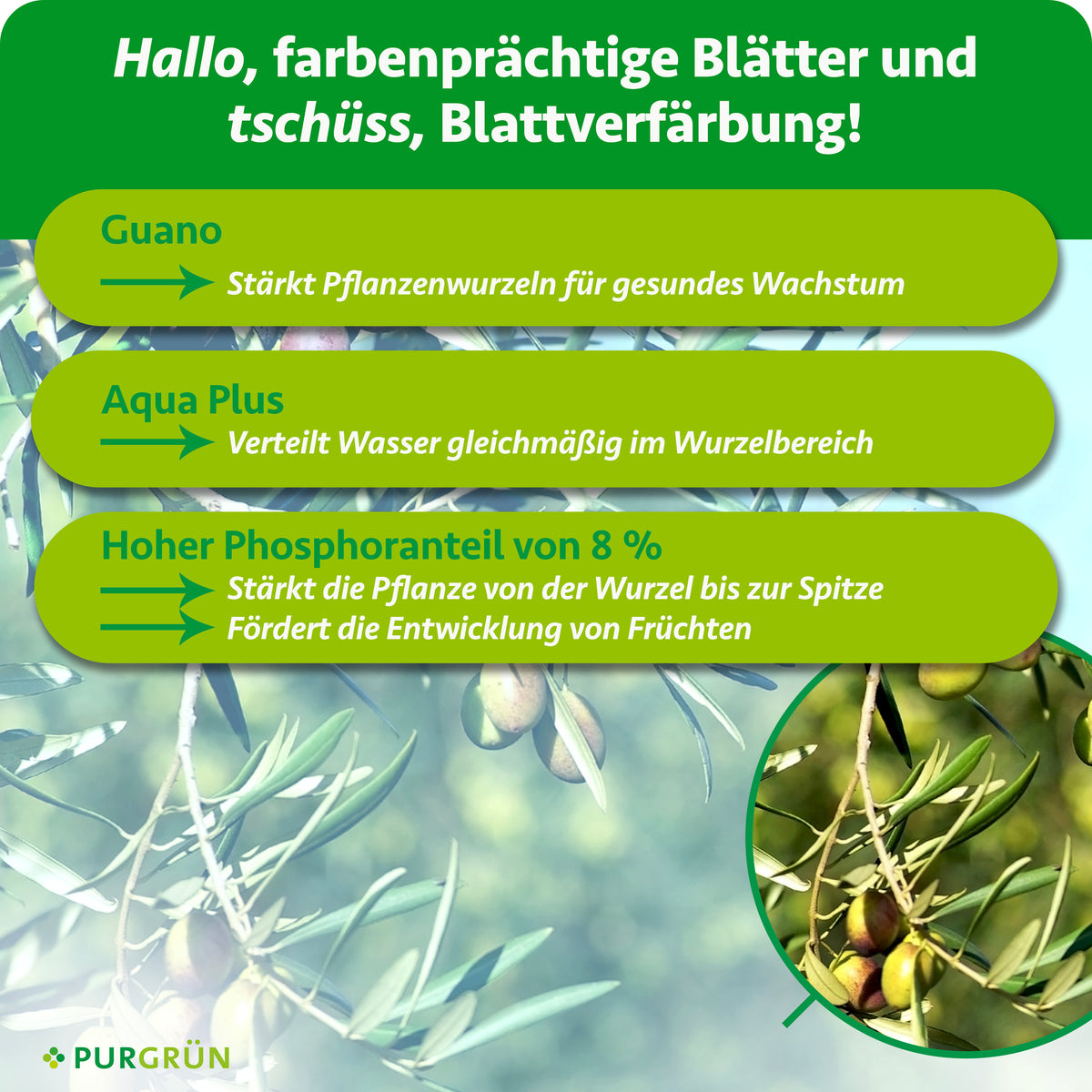 Guano stärkt die Pflanzenwurzeln, Aqua Plus verteilt Wasser gleichmäßig im Wurzelbereich. 8 % Phosphor stärken die Pflanze und fördern die Fruchtentwicklung.