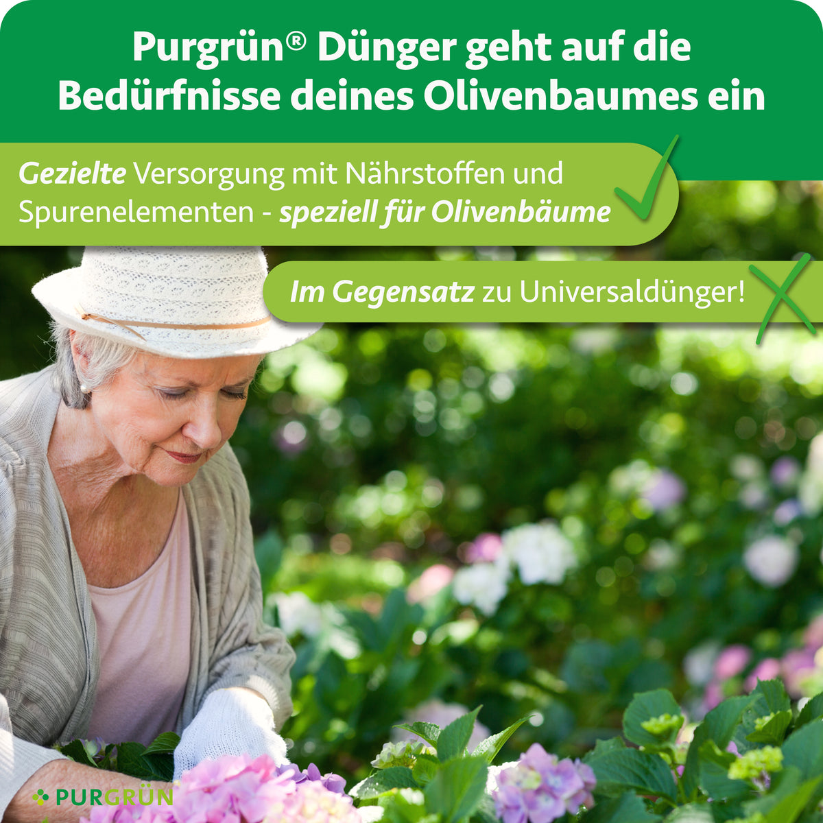 Purgrün-Dünger versorgt Olivenbäume gezielt mit Nährstoffen und Spurenelementen, im Gegensatz zu Universaldünger.