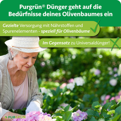 Purgrün-Dünger versorgt Olivenbäume gezielt mit Nährstoffen und Spurenelementen, im Gegensatz zu Universaldünger.