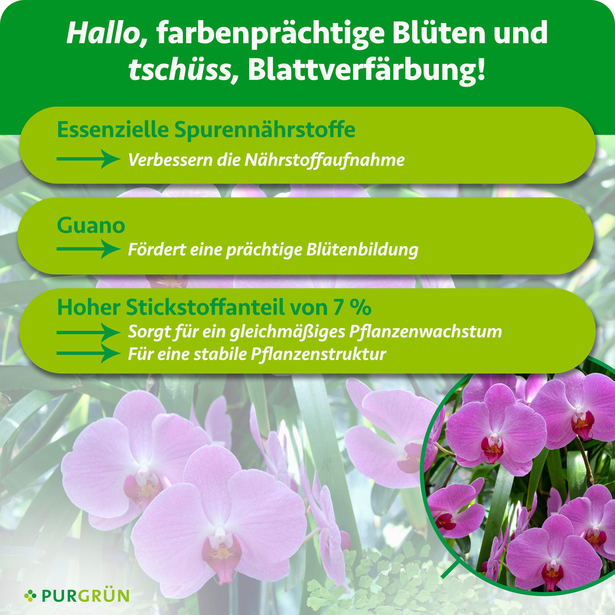 Spurennährstoffe verbessern die Nährstoffaufnahme, Guano fördert die Blütenbildung und 7 % Stickstoff unterstützen gleichmäßiges Wachstum und eine stabile Pflanzenstruktur.