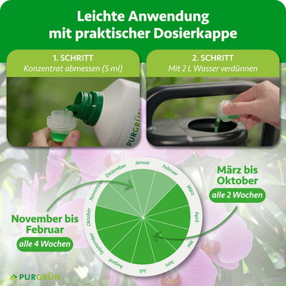 Anwendung: 5 ml Konzentrat mit 2 Litern Wasser verdünnen; von März bis Oktober alle 2 Wochen, von November bis Februar alle 4 Wochen düngen.