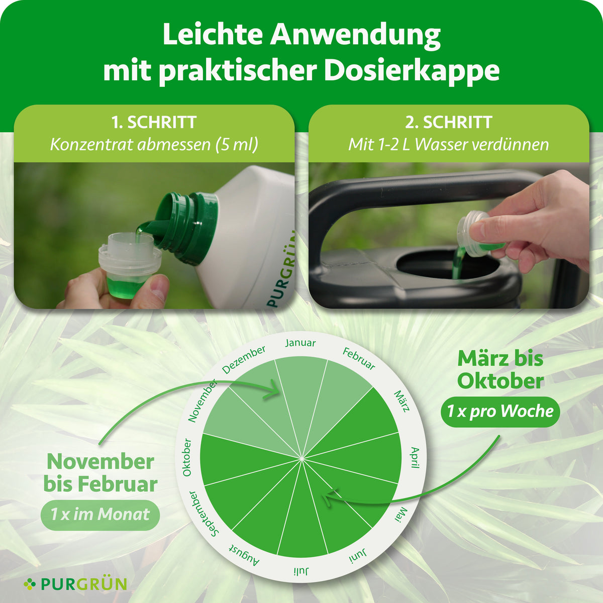 Palmendünger mit der Dosierkappe abmessen (5 ml) und mit 1–2 l Wasser verdünnen; März bis Oktober 1× pro Woche, November bis Februar 1× im Monat anwenden.