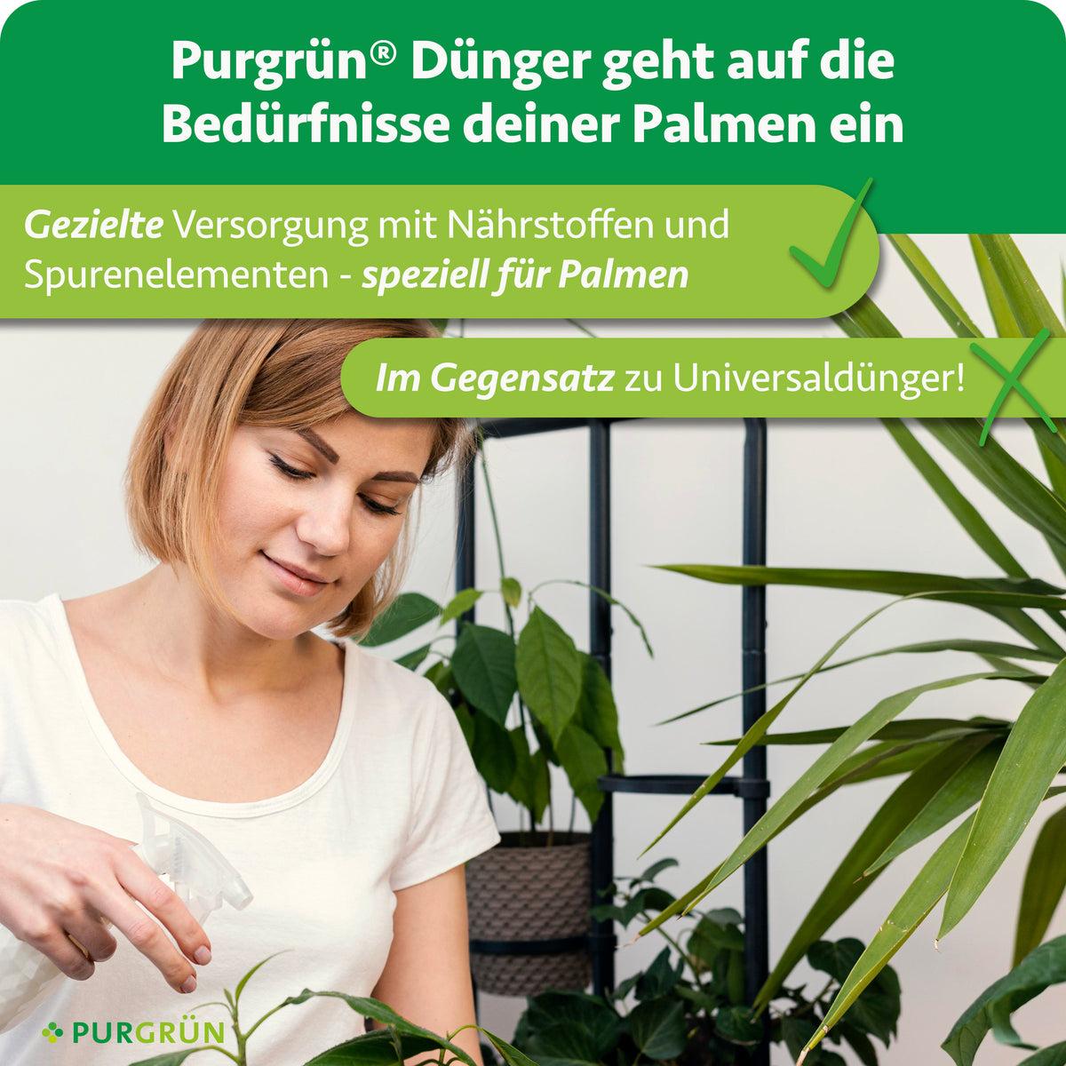 Eine Frau gießt eine Zimmerpalme. Das Bild mit deutschem Text wirbt für Purgrün Palmendünger 1 Liter für Haus- und Gartenpalmen und hebt dessen optimierten Stickstoff- und Nährstoffgehalt im Vergleich zu Universaldüngern hervor. Grüne Häkchen betonen die Vorteile.
