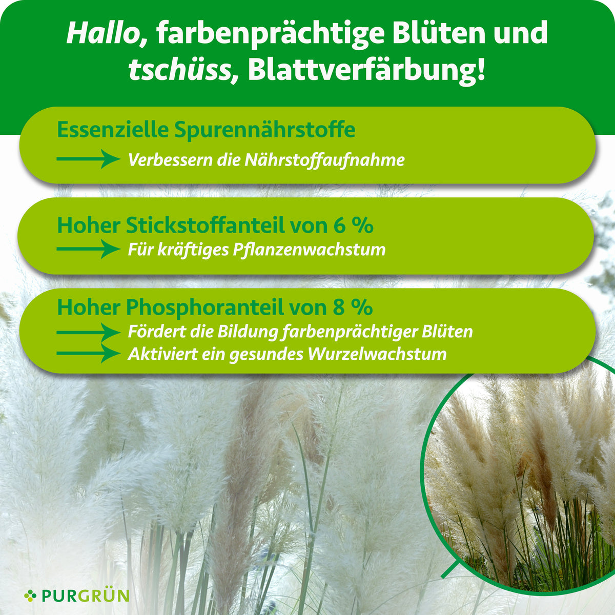 Spurennährstoffe verbessern die Nährstoffaufnahme; 6 % Stickstoff unterstützen kräftiges Wachstum, 8 % Phosphor die Blüten- und Wurzelbildung.