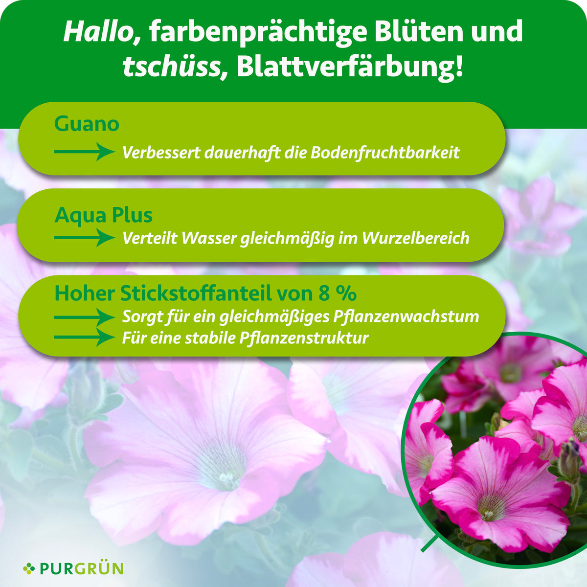 Guano verbessert dauerhaft die Bodenfruchtbarkeit, Aqua Plus verteilt Wasser gleichmäßig im Wurzelbereich. 8 % Stickstoff unterstützen gleichmäßiges Wachstum und eine stabile Pflanzenstruktur.