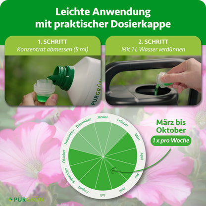 Anwendung: 5 ml Konzentrat abmessen, mit 1 Liter Wasser verdünnen und von März bis Oktober einmal pro Woche düngen.