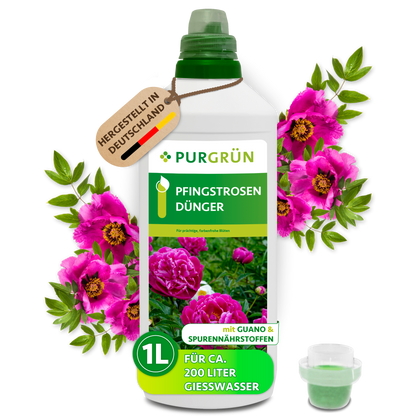 Purgrün Pfingstrosen-Dünger, 1 Liter, mit Dosierkappe für ca. 200 Liter Gießwasser, umrahmt von pinken Pfingstrosen.