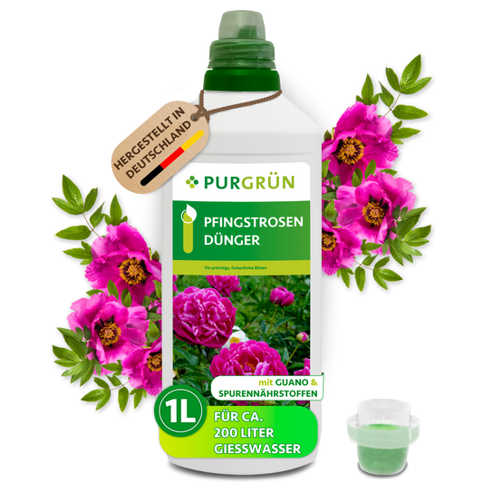 Purgrün Pfingstrosen-Dünger, 1 Liter, mit Dosierkappe für ca. 200 Liter Gießwasser, umrahmt von pinken Pfingstrosen.