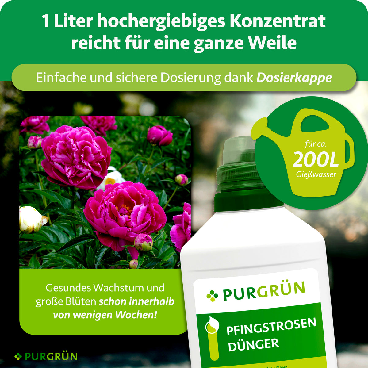 1 Liter Konzentrat reicht für ca. 200 Liter Gießwasser und lässt sich mit der Dosierkappe einfach dosieren. Gesundes Wachstum und große Blüten schon innerhalb weniger Wochen.